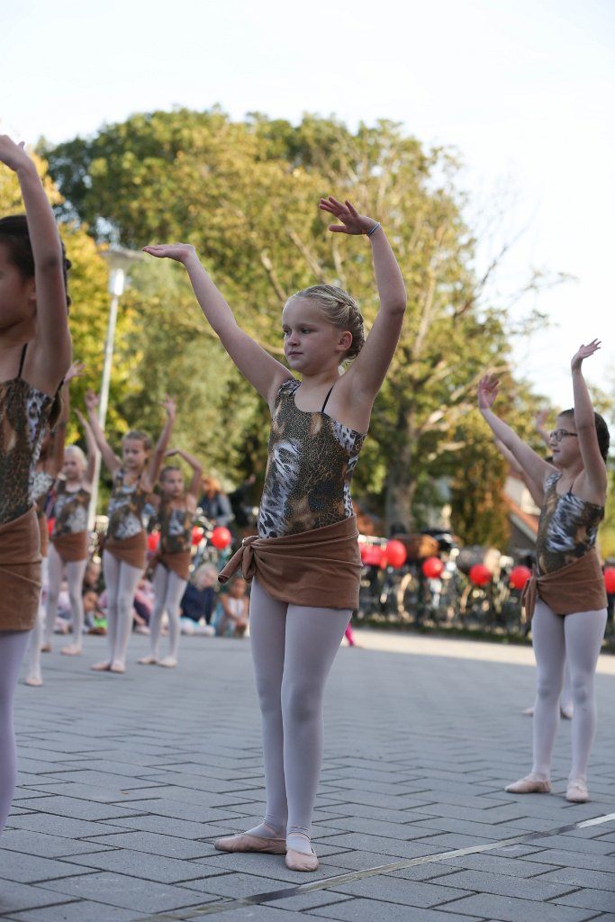 Schoolplein Festival B 176.jpg